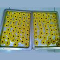 Cooksnap dari Susi Shuzie untuk resep Kue Semprit 3 Bahan