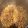 Joseph Belardo's cooksnap of when they made White Chicken Chili.