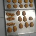 Cooksnap dari Marina Berthy untuk resep Caterpillar bread