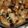 alina Miller's cooksnap of when they made Apple Bread Pudding.