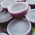Cooksnap dari Neni untuk resep Talam ubi ungu #(pr_olahantepungberas)