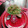 El cooksnap de Nancy Myriam Abarca Vásquez cuando hizo Gazpacho de palta y menta.(sopa fría).