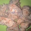 Cooksnap dari Onha Hi Abdulrahman untuk resep Ayam goreng KFC crispy crispy