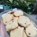 El cooksnap de Evelyn Dueck cuando hizo Scones/galletitas de mandarina. Fáciles y Vegan!.