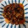 Cooksnap dari nadia marsha untuk resep Ayam kecap pedas