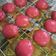 Cooksnap dari Sapitri untuk resep Kue Tok/ Kue Ku Isi Kacang Hijau