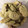 El cooksnap de Fátima M.M cuando hizo Galletas de avena con naranja y chocolate.