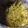 Mamata Pramanik's cooksnap of when they made লাউয়ের খোসা বাটা (Lauer Khosa bata recipe in Bengali).