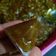 Cooksnap dari Amelia Oliviona untuk resep Jenang/dodol waloh(labu kuning)