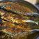 Cooksnap dari Gita Yulia Ghazani untuk resep Ikan Selar Panggang