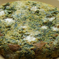 El cooksnap de Cuqui Bastida cuando hizo Tortilla de espinacas crudas con tomate frito.