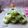 Cooksnap dari Oktaviani (Bund@ Keyl@) untuk resep Salad Jelly