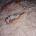 El cooksnap de Nathy Coronel cuando hizo Arroz con leche💓.