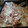 El cooksnap de Roberto Fernandez cuando hizo Lasaña de carne molida con salsa boloñesa.