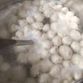 Cooksnap dari Rini Sulistyo untuk resep 🐣 Bakso Ayam Homemade (Blender)