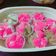 Cooksnap dari Hanum untuk resep Bolu kukus mekar