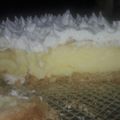 El cooksnap de Natalia Lieggi De Monteros cuando hizo Lemon pie.