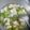 Cooksnap dari Lovely RieZtha untuk resep Oyong tahu kuah