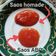 Cooksnap dari SZNUFA'Kitc untuk resep Saus Tomat Cabai HomeMade