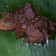 Cooksnap dari Dessy Pratiwi untuk resep Rendang Daging