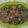 Cooksnap dari Benna Lita untuk resep Tumis daging pakcoy