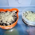 Cooksnap dari Ivha Malewa untuk resep Puding nutrijel keju oreo