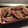 El cooksnap de elmagatzem delsol cuando hizo Cordero al horno con manzanas.