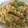 El cooksnap de Marieta cuando hizo Quinoa con verduras.