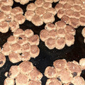 El cooksnap de Andrea Belen cuando hizo Galletitas integrales estilo FRUTIGRAN🍪.