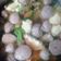 Cooksnap dari bunda iko untuk resep Sup Bakso Tahu