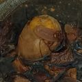 Cooksnap dari Titik Nurlaili untuk resep Telur Pindang Kecap