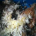 Cooksnap dari Yaserita Achiro untuk resep Super Fluffy Pancake