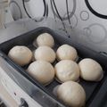 Cooksnap myshashaleaaariz aariz semasa beliau membuat Pau inti kacang merah.