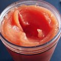 lisazirb's cooksnap of when they made Watermelon Sorbet.