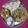 Bina Talati's cooksnap of when they made બટર પનીર મસાલા (Butter Paneer Masala Recipe In Gujarati).