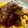 El cooksnap de Dagoberto cuando hizo Pollo al vino (Coq au vin).