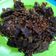 Cooksnap dari Ellin Dulhakim untuk resep Empal Empuk Goreng