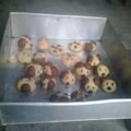 Cooksnap dari Maru Gimball untuk resep Doggie cookies