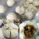 Cooksnap dari Intan's Kitchen untuk resep 18.2019.Bakpao Lembut (tanpa tepung Pao)