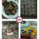 Cooksnap dari Sanny Kurnia untuk resep Cookies Brownies Panggang