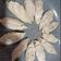 Cooksnap dari Lucia Junita untuk resep Kuotie/Gyoza Simple