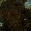 El cooksnap de Selena Muñoz cuando hizo Receta Albóndigas caseras simples.