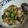 รูป Cooksnap ของ Safeera Chewae เมื่อเขาทำ ข้าวราดเห็ดฟางผัดน้ำมันหอย (มังสวิรัติ)