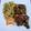 KAITA'S KITCHEN's cooksnap of when they made Fried rice.