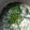 Cooksnap dari Pauline Haztine untuk resep Bobor kangkung