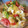 El cooksnap de klariss cuando hizo Ensalada de verano.