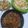 Cooksnap dari NIA untuk resep Sambal ikan