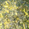 Cooksnap dari Elis R Dewi untuk resep Opor Daun Singkong