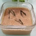 Cooksnap dari Ani Safitri untuk resep Srikaya telur gulmer lembut