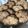 El cooksnap de Irene-Guirao cuando hizo Galletas de avena al microondas.